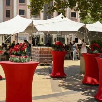 A Poinsettia Christmas at Montecasino 10