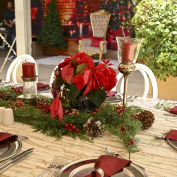 A Poinsettia Christmas at Montecasino 16