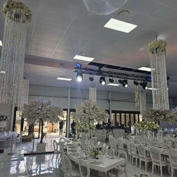 A Sparkling Celebration 10