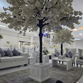 A Sparkling Celebration 11