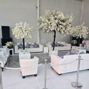 A Sparkling Celebration 7