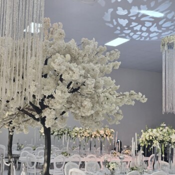 A Sparkling Celebration 16