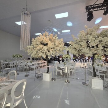 A Sparkling Celebration 18