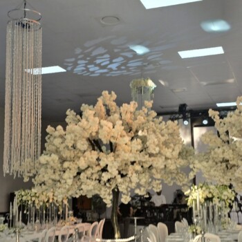 A Sparkling Celebration 22