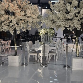 A Sparkling Celebration 25