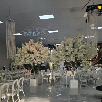 A Sparkling Celebration 26