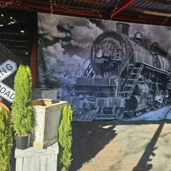 Heavy Haulage Train Themed Event 8