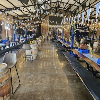 German Beerfest Blue and White Bavarian Lozenge Themed Event Decor 5