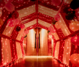 Themed Tunnel Entrances 8