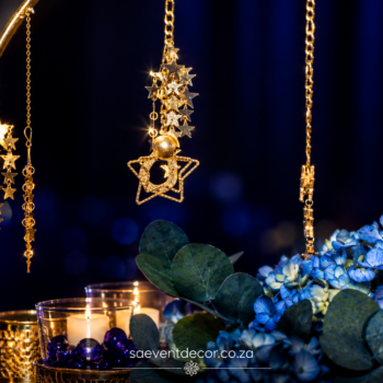Night Under the Stars 10